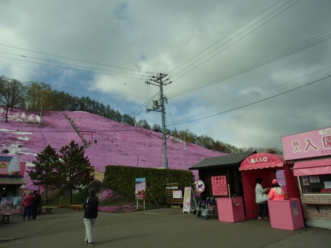 芝桜公園