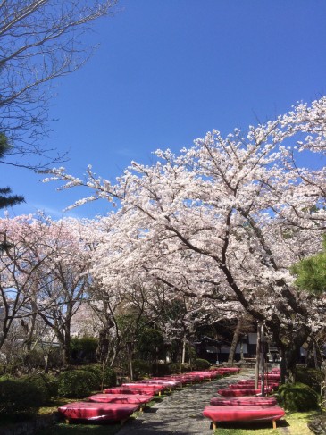 宮城野