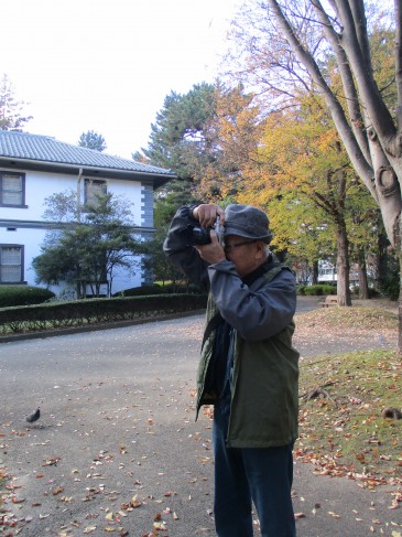 宮城野