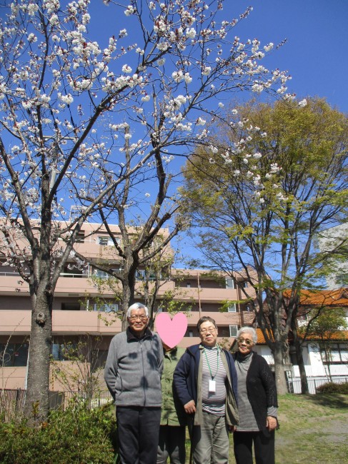 宮城野