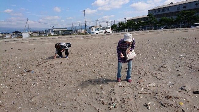 貝殻海