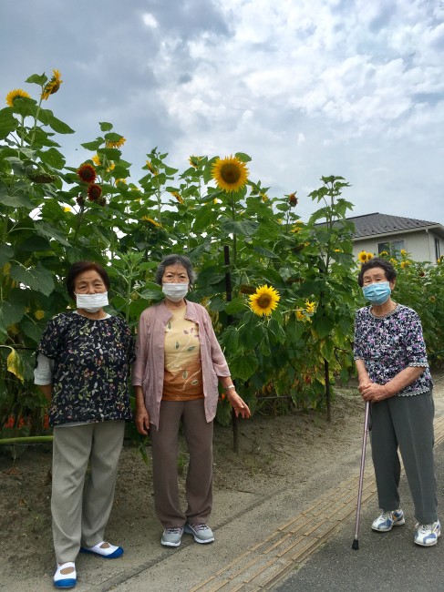 宮城野