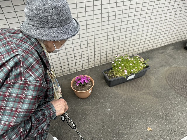 ウィークリー山の手　～ローズの日～