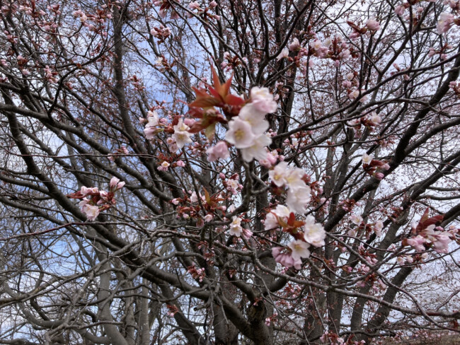 風が強い1日でした💦