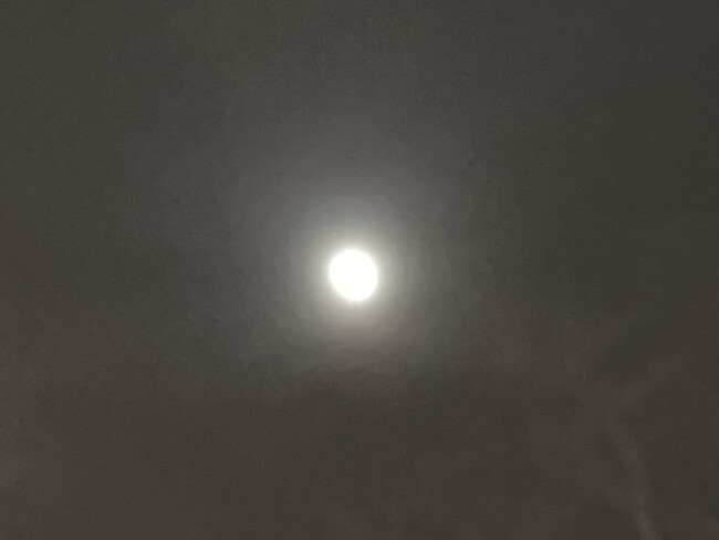 ひな祭りと皆既月食です！