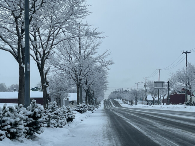 介護の本です📚