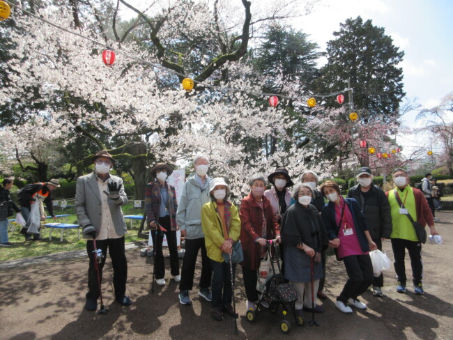 お花見🌸