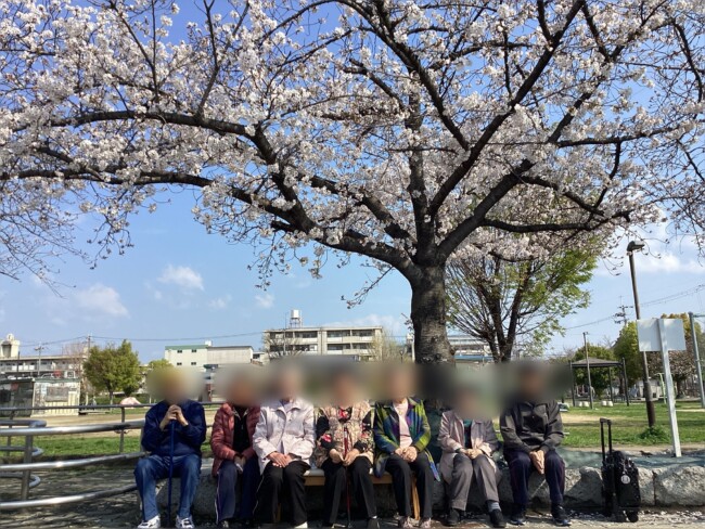 お花見に行ってきました🌸