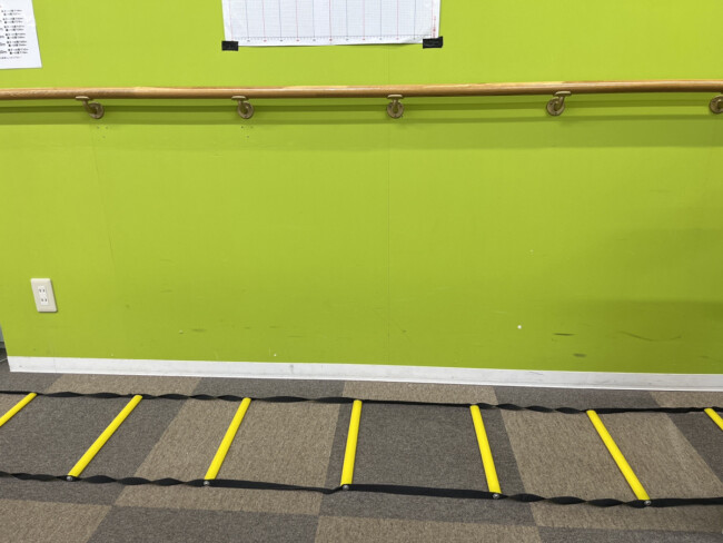 ラダーを行いました♡