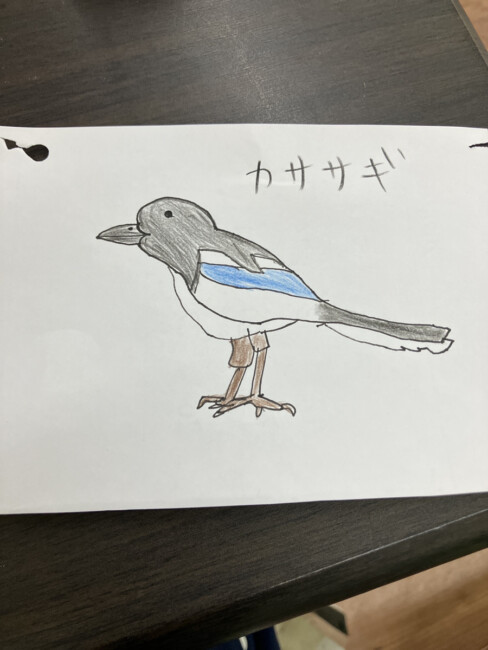 珍鳥見　14