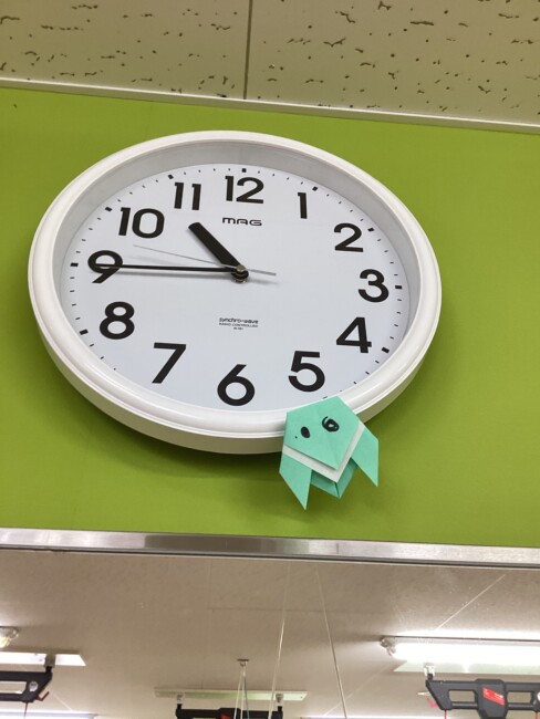 8月です！